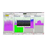 RadioInspectorRT-Light, Программное обеспечение для анализа и обработки